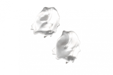 Oyster Large Earrings