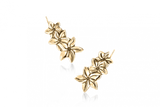 Jasmine Flower Crawlers