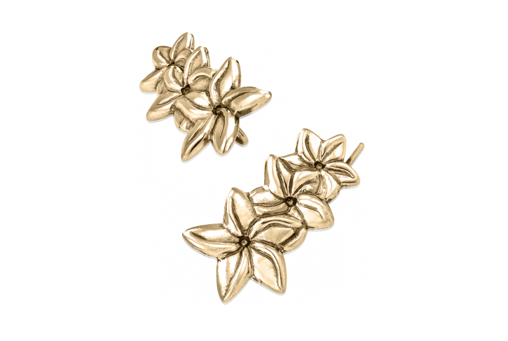 Jasmine Flower Crawlers