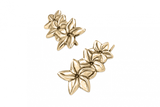 Jasmine Flower Crawlers