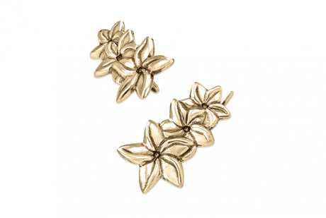 Jasmine Flower Crawlers