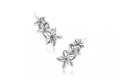 Jasmine Flower Crawlers