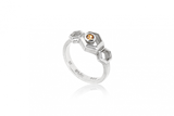 Hive Nucleus Ring