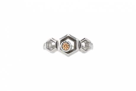 Hive Nucleus Ring