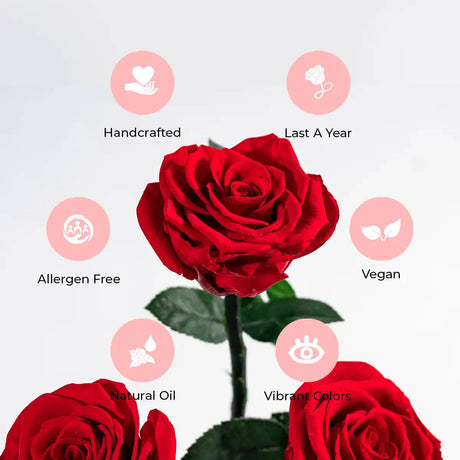 9 Pink Roses Suede – Timeless Floral Box